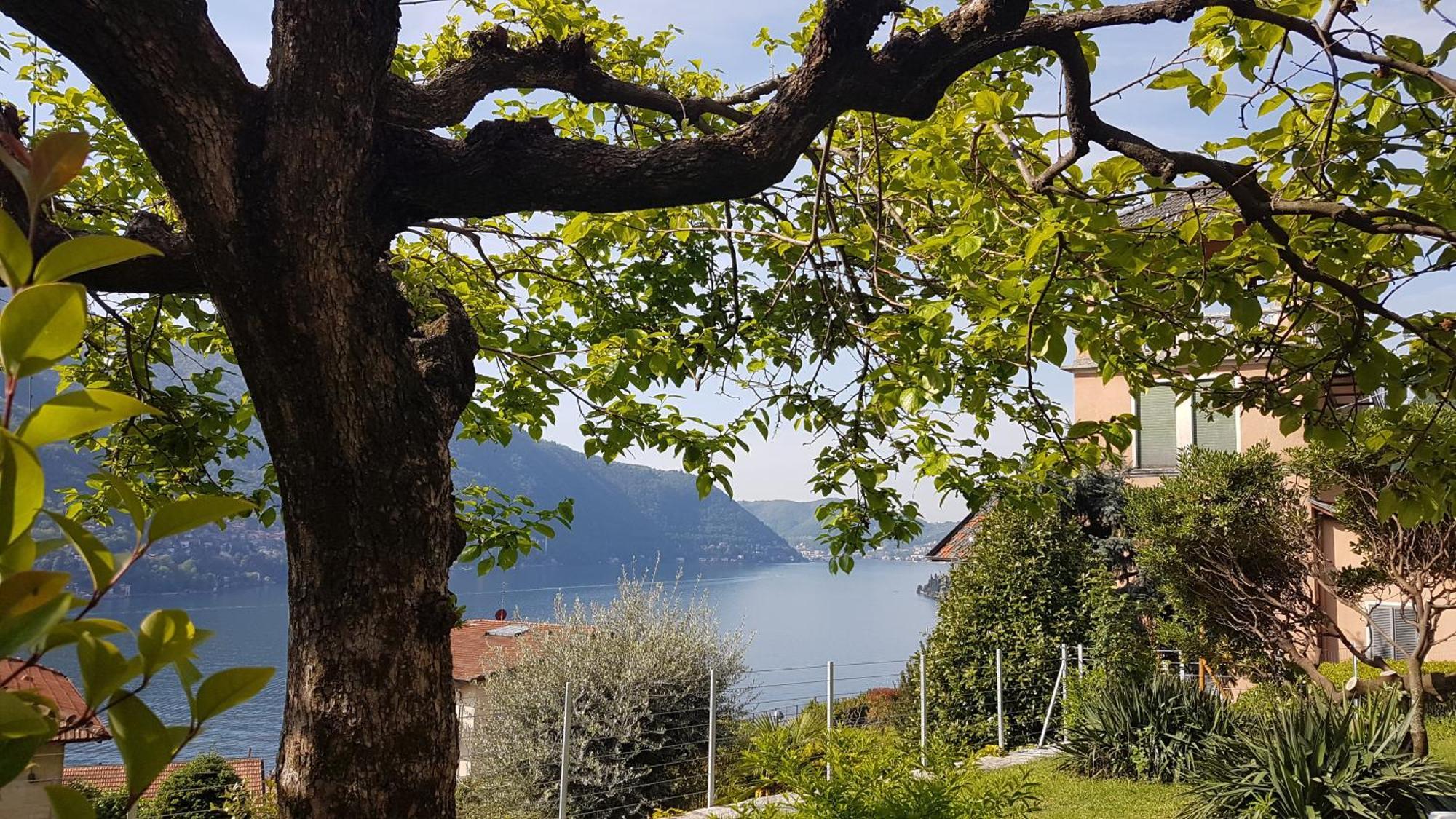 Flora Appartement Moltrasio Buitenkant foto