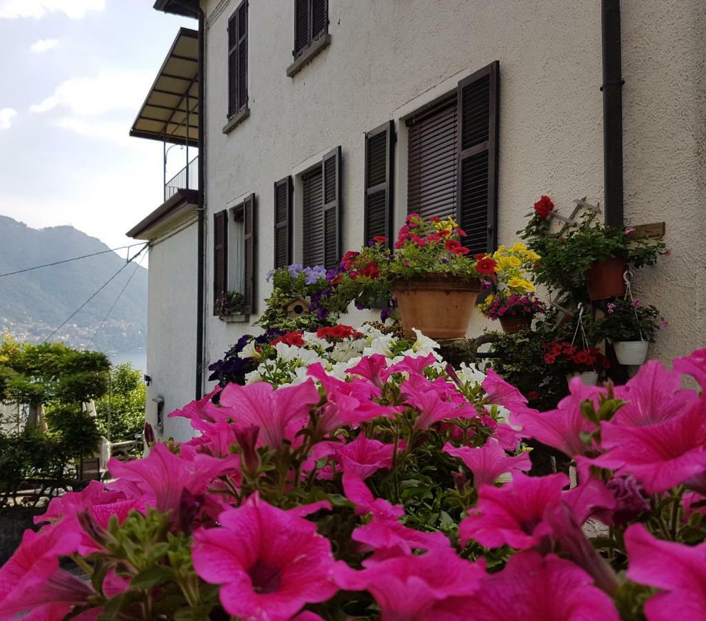 Flora Appartement Moltrasio Buitenkant foto