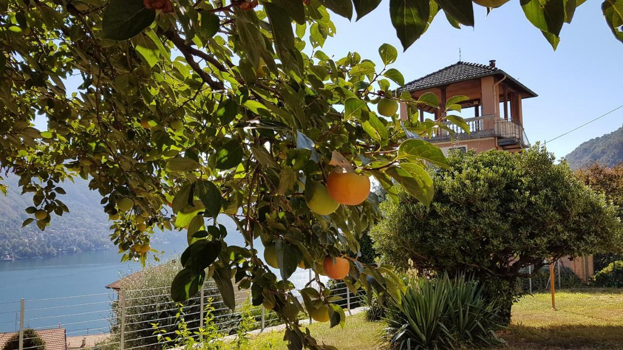 Flora Appartement Moltrasio Buitenkant foto