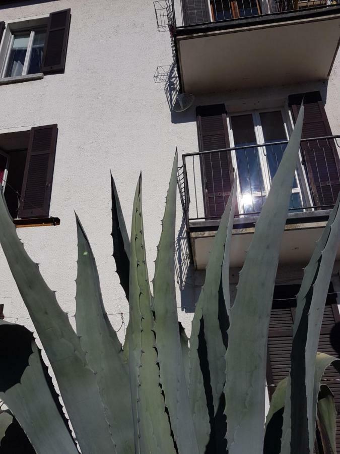Flora Appartement Moltrasio Buitenkant foto